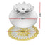 DIFF-T3-WH-01.jpg