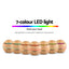 DIFF-YX003-LW-03.jpg