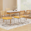 DINING-B-C01-VEL-YEX4-202505011204-06.jpg