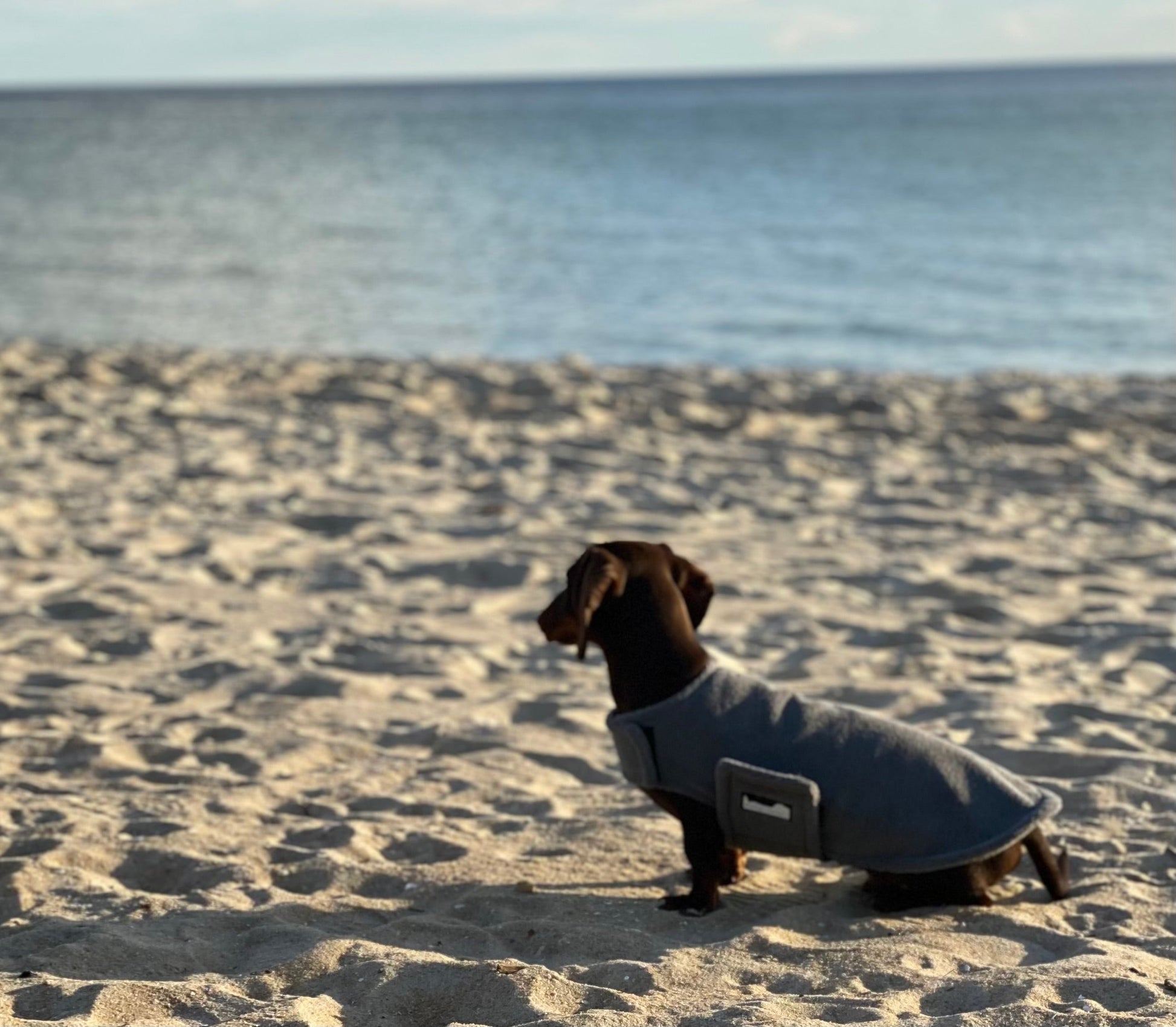 Dachys Jackies - Microfiber Poncho towel & Cooling Jacket