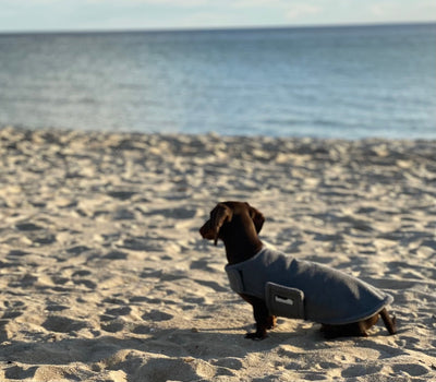 Dachys Jackies - Microfiber Poncho towel & Cooling Jacket