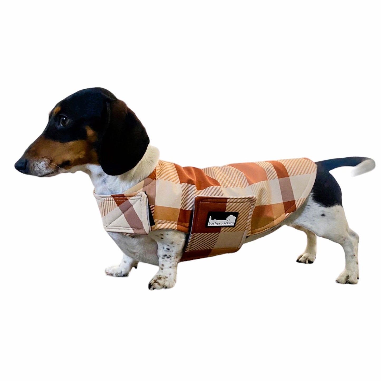 Dachys Jackies - Water resistant Dog jacket - Caramel Delight