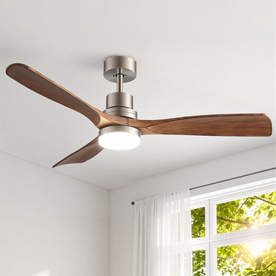 CF-C-52-07L-APP-BRW-202602062020-00.jpg