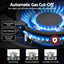 CT-GAS-5B-L-BK-05.jpg