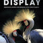 Display