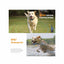 Dog Bark Collars - 3x 800m Range Recievers Vibration Sound Light Training Device