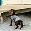 Dog Cooling Coat Jacket - Small Breed Microfibre Towel Vest - Grey