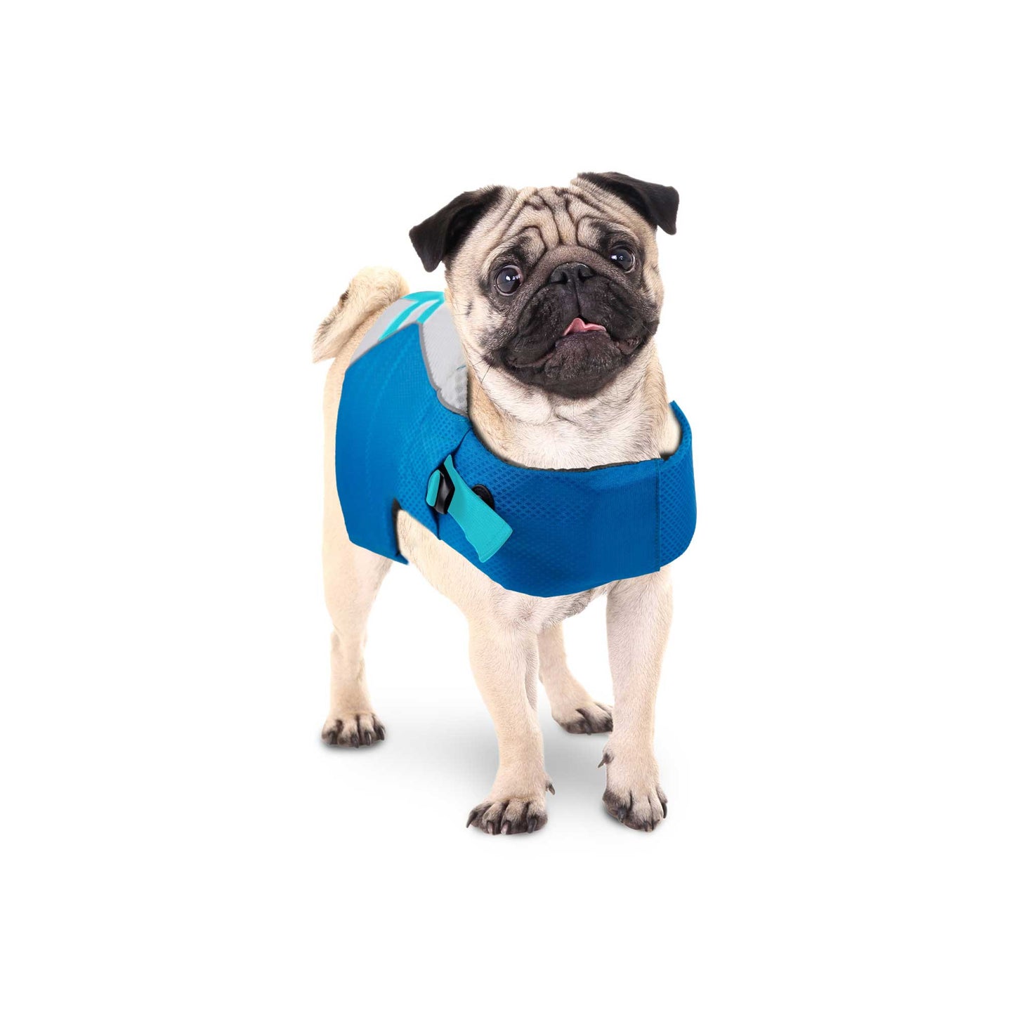 Dog Life Jacket - Puppy Swim Float Adjustable Safety Vest - All For Paws