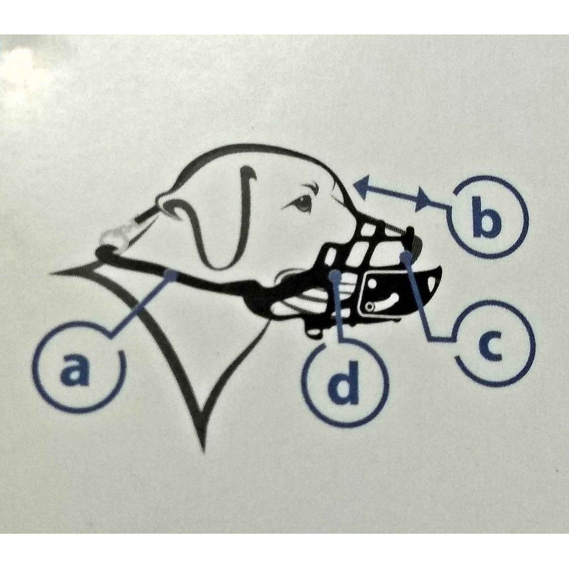 Dog Muzzle Guard - Anti Barking Biting Soft Flexible Cage Pet Mouth Basket Pawise