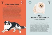 Dog Pawsonality Test