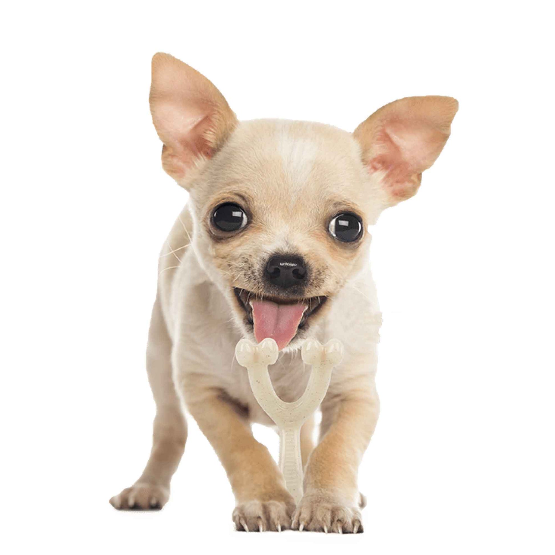 Dog Wish Bone Chew - Nylon Puppy Dental Teething Gum Toy