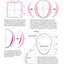 Drawing Manga Faces & Expressions