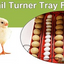 Electric 60 Egg Incubator + Accessories Hatching Eggs Chicken Quail Duck