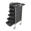 Ellie & Ruby Hairdressing Trolley 5 Drawer Hair Salon Beauty Rolling Cart