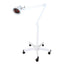 Ellie & Ruby Infrared Heat Floor Lamp 275W Mobile Dimmable Home Salon Treatment