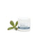 Emu Oil Products - Oils Capsules Soaps Skin Moisturisers Creams Collection