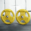 Everfit Weight Plates Olympic 20kgx2 Dumbbell Barbell Plate Weight Lifting Home Gym Yellow