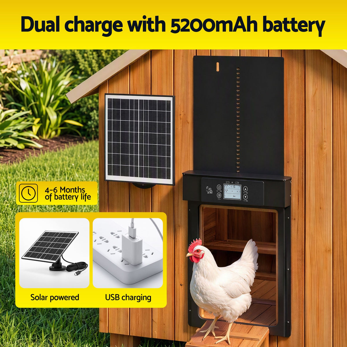 FIK-COOP-DOOR-SOLAR-07.jpg