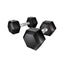 FIT-K-DB-HEX-20KG-159061-00.jpg