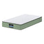 FOAM-C-MFM-LEAF-H025-KS-202507181420-00.jpg