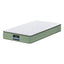 FOAM-C-MFM-LEAF-H025-KS-202507181420-00.jpg