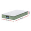 FOAM-C-MFM-LEAF-H025-S-202507181418-01.jpg