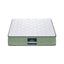 FOAM-C-MFM-LEAF-H025-S-202507181418-02.jpg