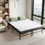 FOAM-MFM-BF-BAM-D-07.jpg