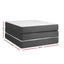 FOAM-MFM-TRIO-BAM-BK-03.jpg