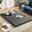 FOAM-MFM-TRIO-DOU-GY-202602051646-00.jpg
