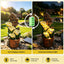 FOUNT-A-FLOWER-BR-04.jpg