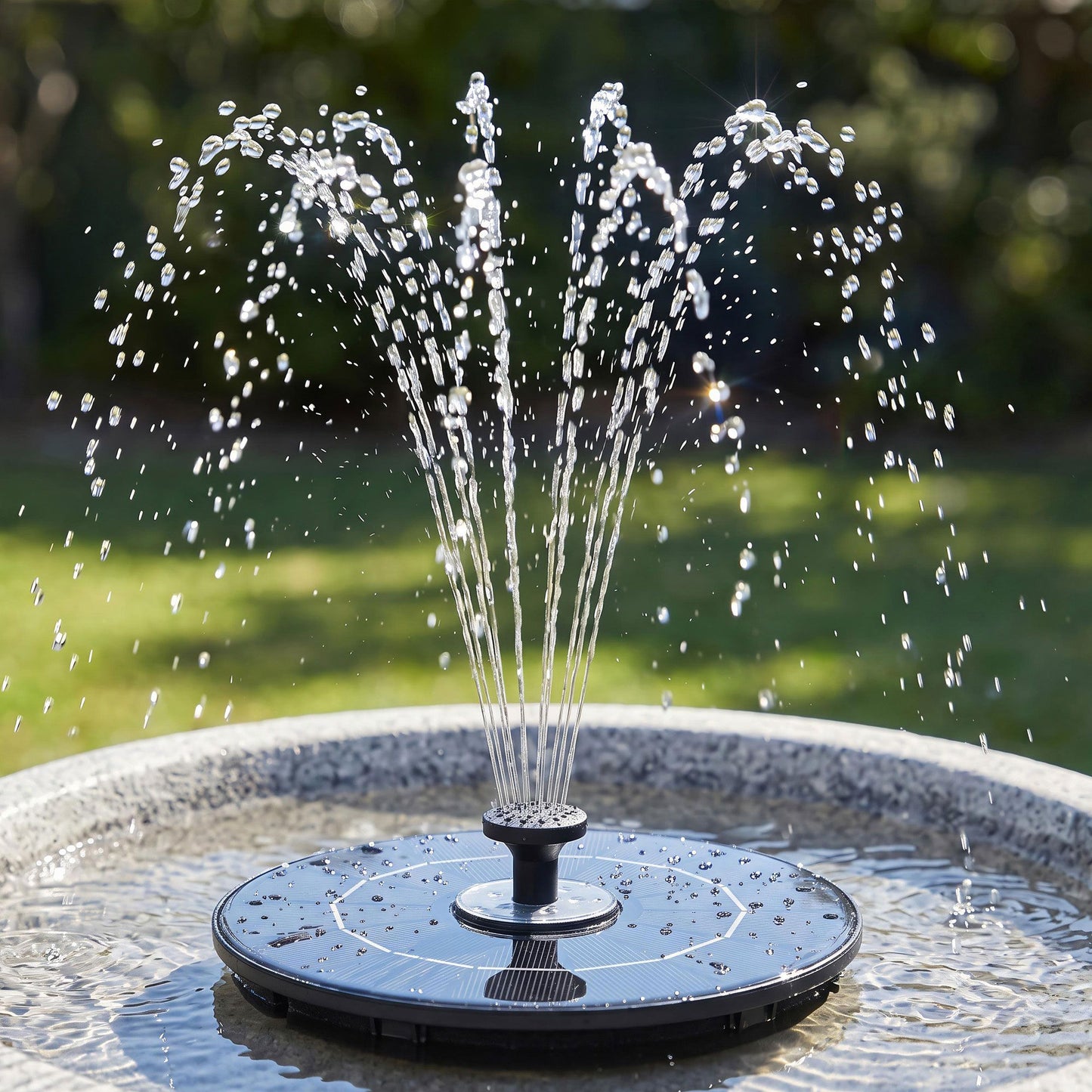 FOUNT-POND-B-LED-165-00.jpg