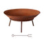 FPIT-YH-IRON-60-202503171502-00.jpg
