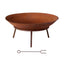 FPIT-YH-IRON-60-202503171502-00.jpg