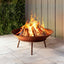 FPIT-YH-IRON-60-202503171502-06.jpg