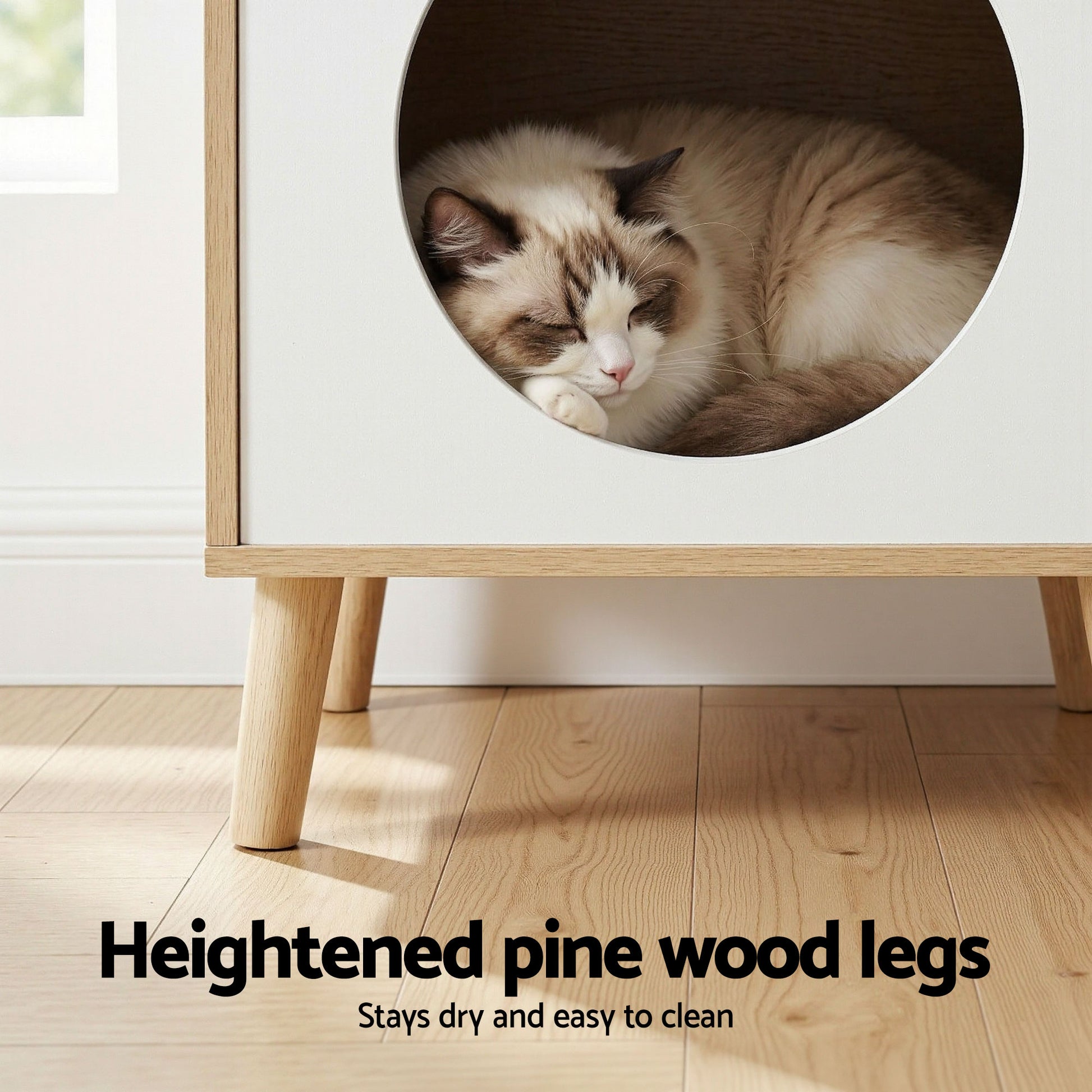 FUR-S-BS-PET01-WD-202604141534-04.jpg