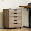 FURNI-B-CAB-5T-WD-202505011206-06.jpg
