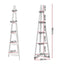 FURNI-P-LAD-COR5T-WH-23485-02.jpg
