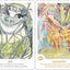 Findhorn Spirit Oracle Cards