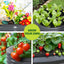 GARDEN-AG-ROU-9045-A-202502282036-00.jpg
