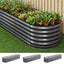 GARDEN-OVAL-AG-3208056X3-202601211824-07.jpg