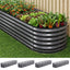 GARDEN-OVAL-AG-3208056X4-202601211824-07.jpg