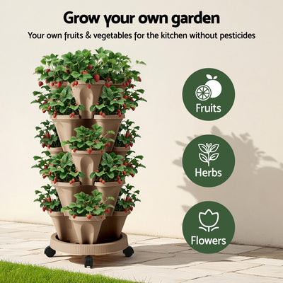 GARDEN-PLASTIC-25L-DYE-202601052000-03.jpg