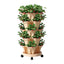GARDEN-PLASTIC-25L-LYE-202601052000-00.jpg