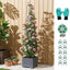 GARDEN-PP-VTC-4-202604091800-06.jpg