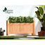 GARDEN-WOOD-BOX-60-202502282040-05.jpg