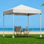 GAZEBO-T-2X2-F-EC-WH-BASE-202507101416-06.jpg
