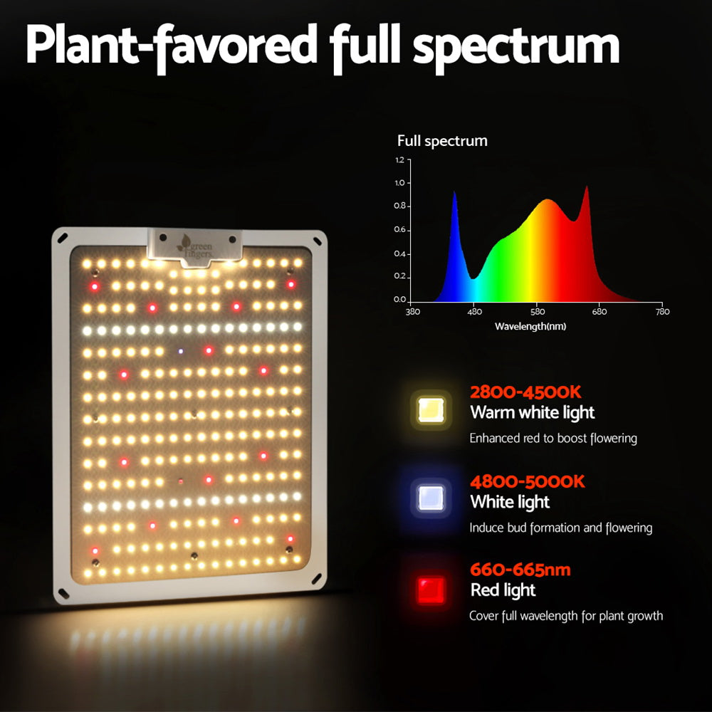 GL-BOARD-100-NDIM-35704-02.jpg