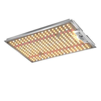 GL-BOARD-150-DIM-202512182022-00.jpg