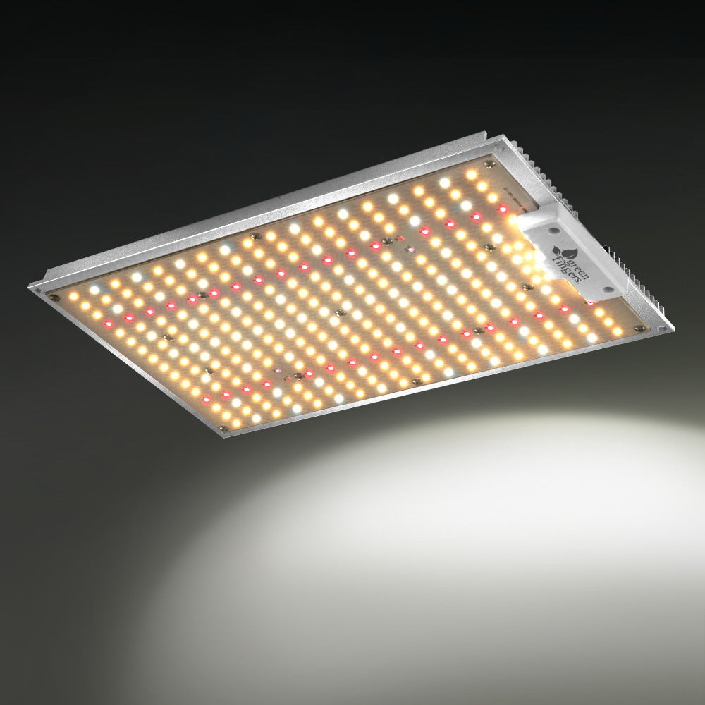 GL-BOARD-150-DIM-202512182022-06.jpg